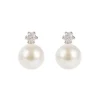 Royal Collection Shop Small Pearl Earrings Best